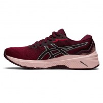 Кросівки для бігу жіночі Asics GT-1000 11 Cranberry/Pure silver